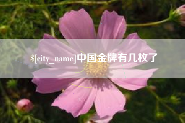 岳阳中国金牌有几枚了