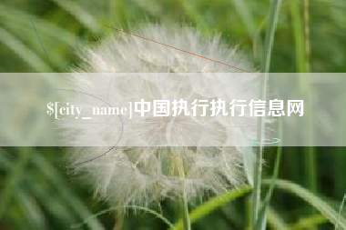 岳阳中国执行执行信息网