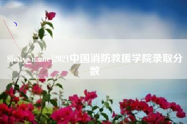 岳阳2021中国消防救援学院录取分数