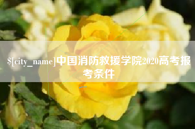 岳阳中国消防救援学院2020高考报考条件