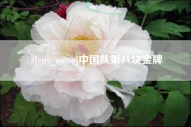 岳阳中国队第八块金牌