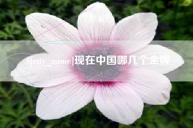 岳阳现在中国哪几个金牌