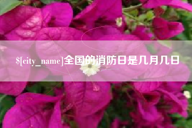 岳阳全国的消防日是几月几日