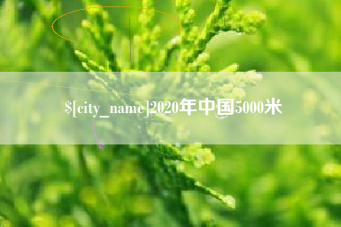 岳阳2020年中国5000米