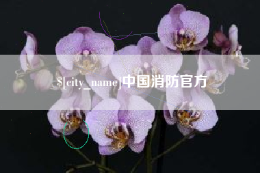 岳阳中国消防官方