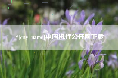 岳阳中国执行公开网下载