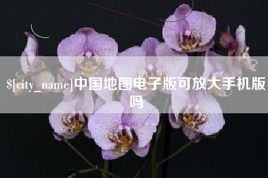 岳阳中国地图电子版可放大手机版吗