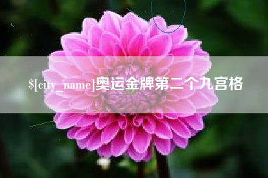 岳阳奥运金牌第二个九宫格