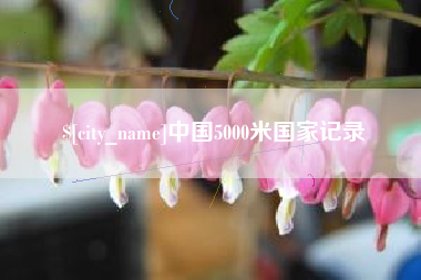 岳阳中国5000米国家记录