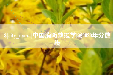 岳阳中国消防救援学院2020年分数线