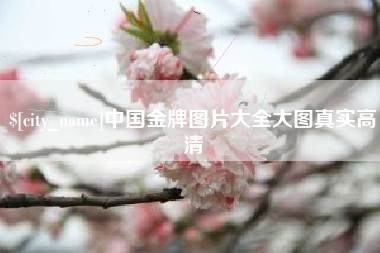 岳阳中国金牌图片大全大图真实高清
