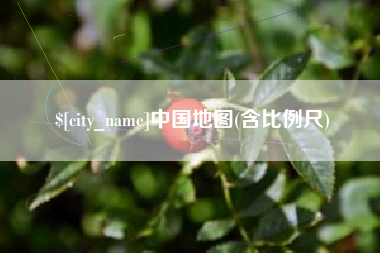 岳阳中国地图(含比例尺)