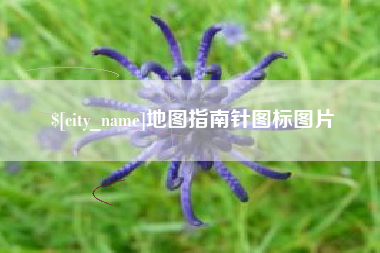 岳阳地图指南针图标图片