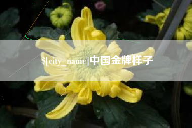 岳阳中国金牌样子