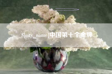岳阳中国第十个金牌