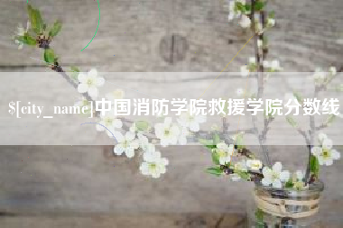 岳阳中国消防学院救援学院分数线