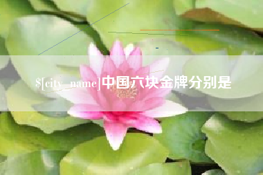 岳阳中国六块金牌分别是