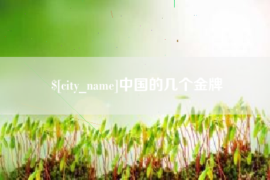 岳阳中国的几个金牌