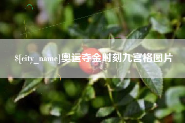 岳阳奥运夺金时刻九宫格图片