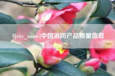 岳阳中国消防产品质量信息
