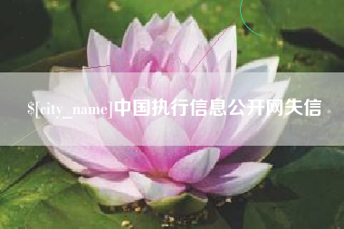 岳阳中国执行信息公开网失信