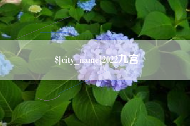 岳阳2022九宫