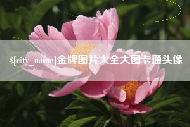 岳阳金牌图片大全大图卡通头像