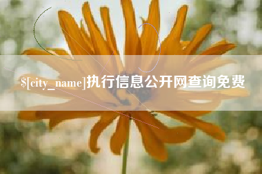 岳阳执行信息公开网查询免费