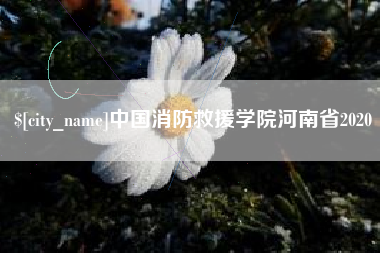 岳阳中国消防救援学院河南省2020