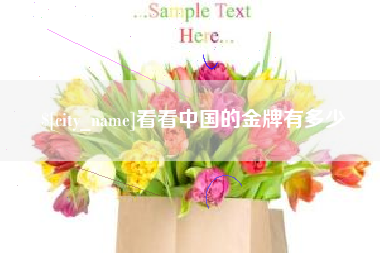 岳阳看看中国的金牌有多少